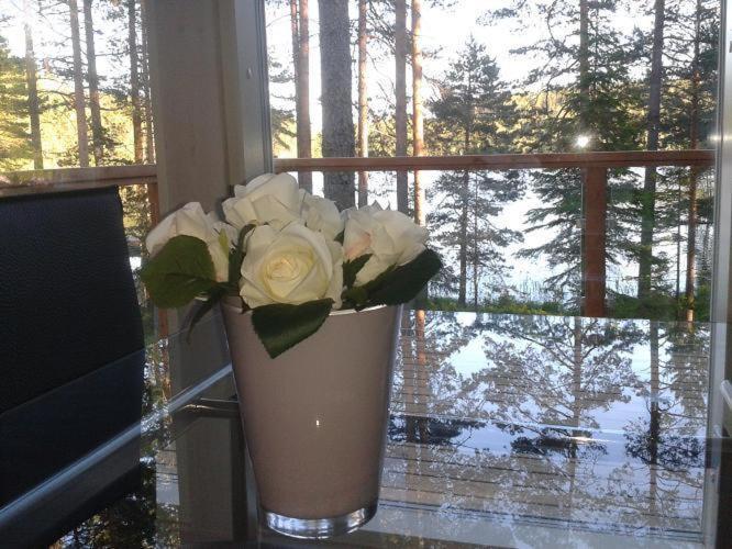Pyhaejaerven Lomakylae Villa Ruolahti  Luaran gambar
